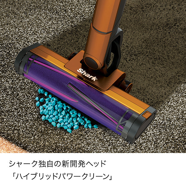 Halloween Fair CS651J & プレシジョンダスターセット+フィルター3個セット