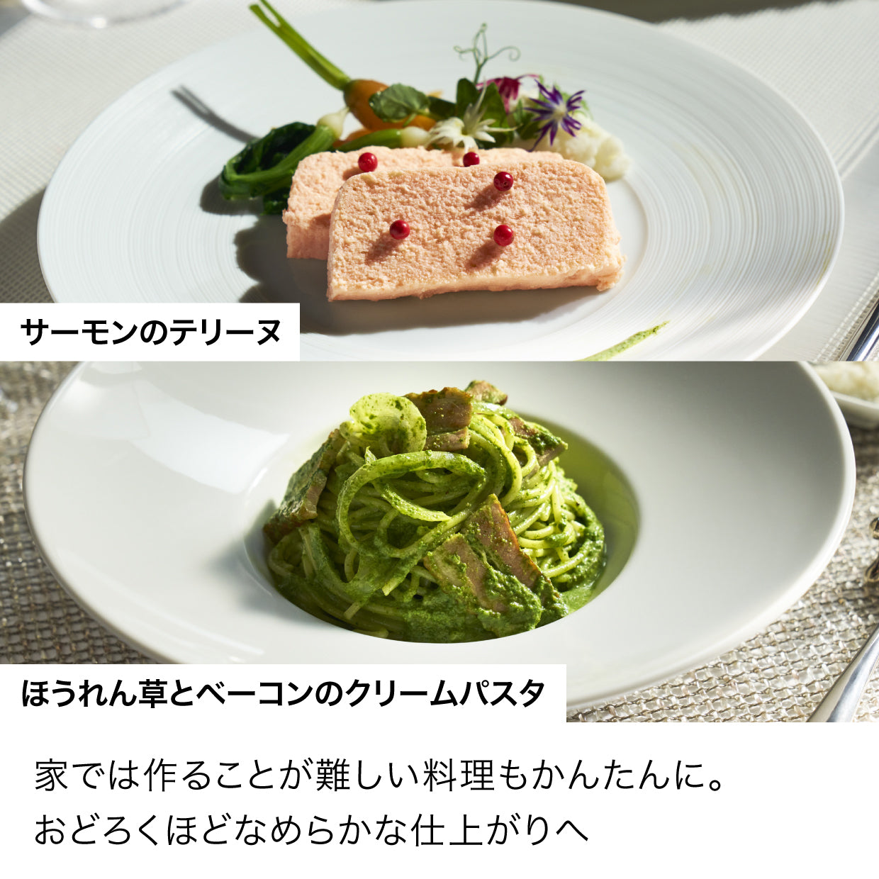 Ninja Stealth iQ ミキサー QX201J