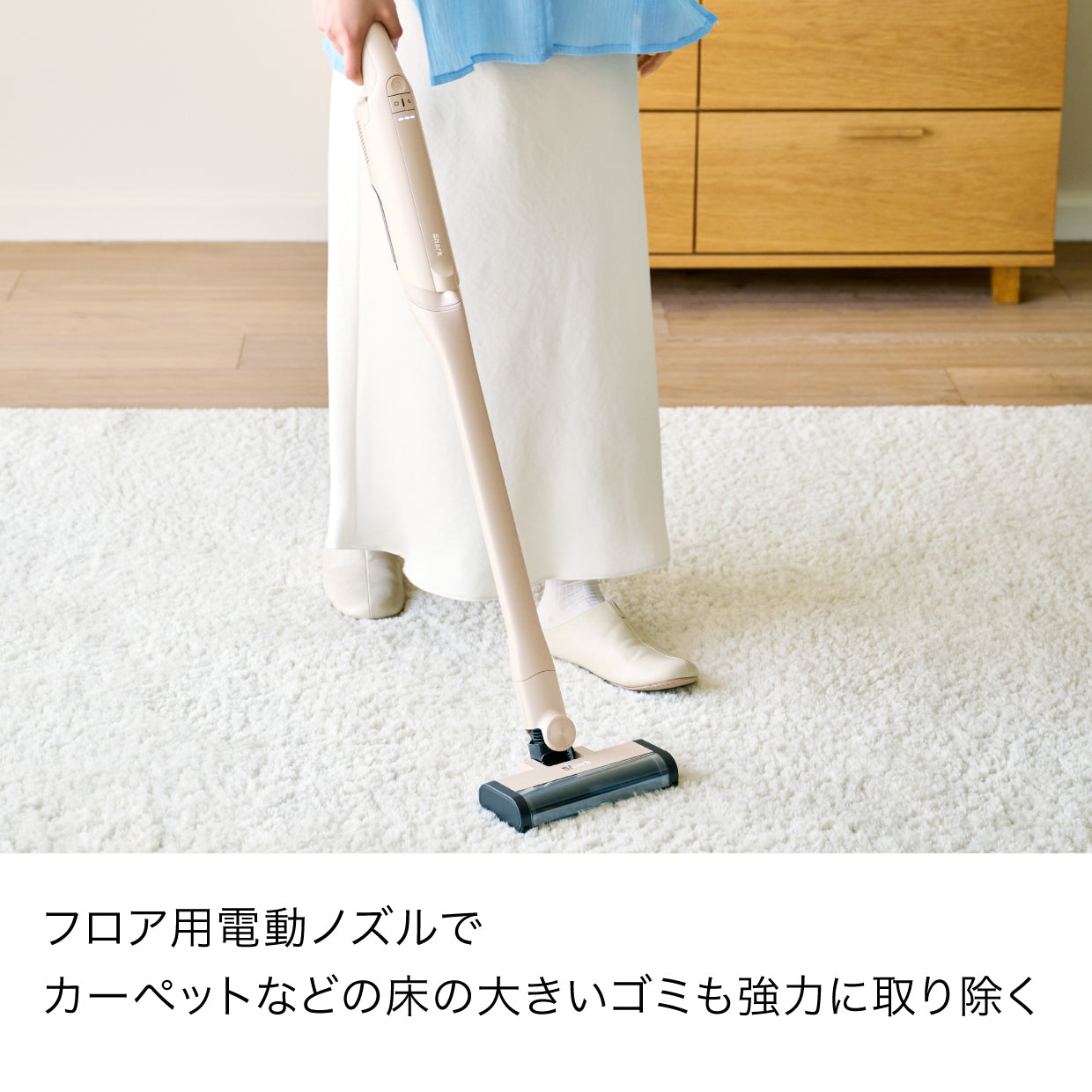 Shark EVOPOWER DX  充電式ハンディクリーナー WV517J