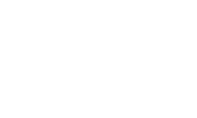 Ninja Twisti