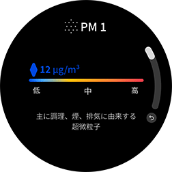 PM1.0