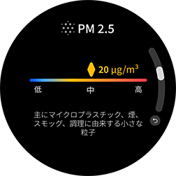 PM2.5