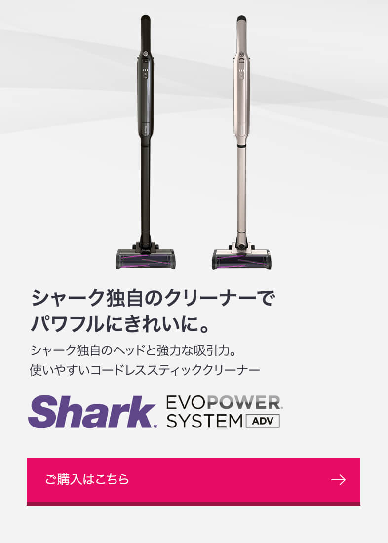 概要：EVOPOWER SYSTEM ADV(アドバンス) コードレススティック