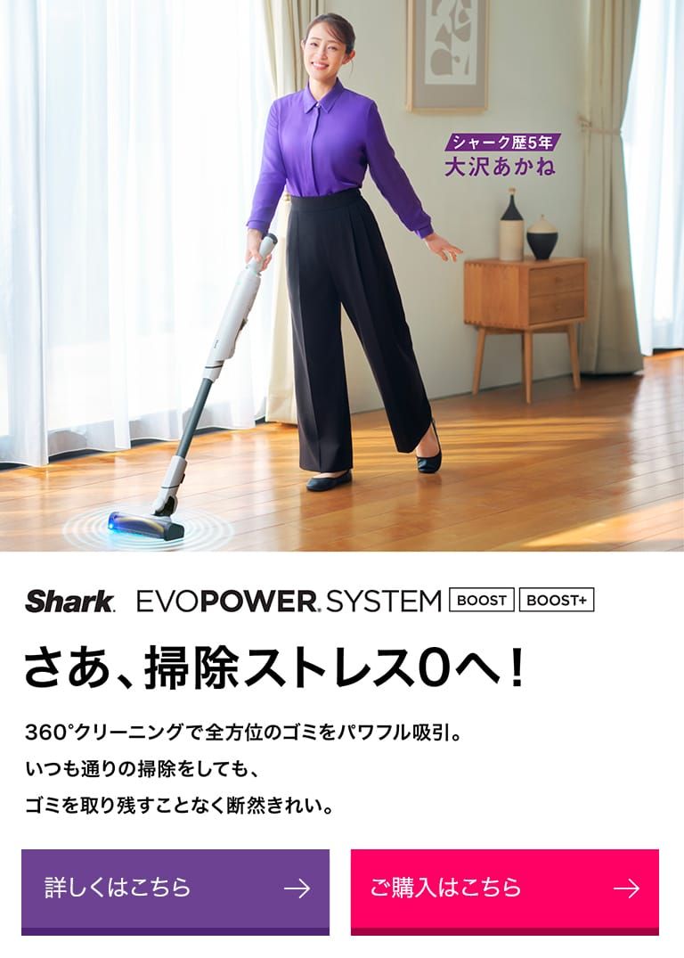 EVOPOWER SYSTEM BOOST+/BOOST